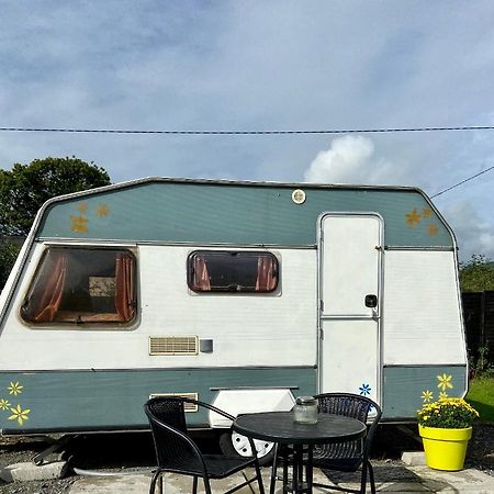 Cosy Caravan At Carrigeen Glamping Hotel Kilkenny Eksteriør billede