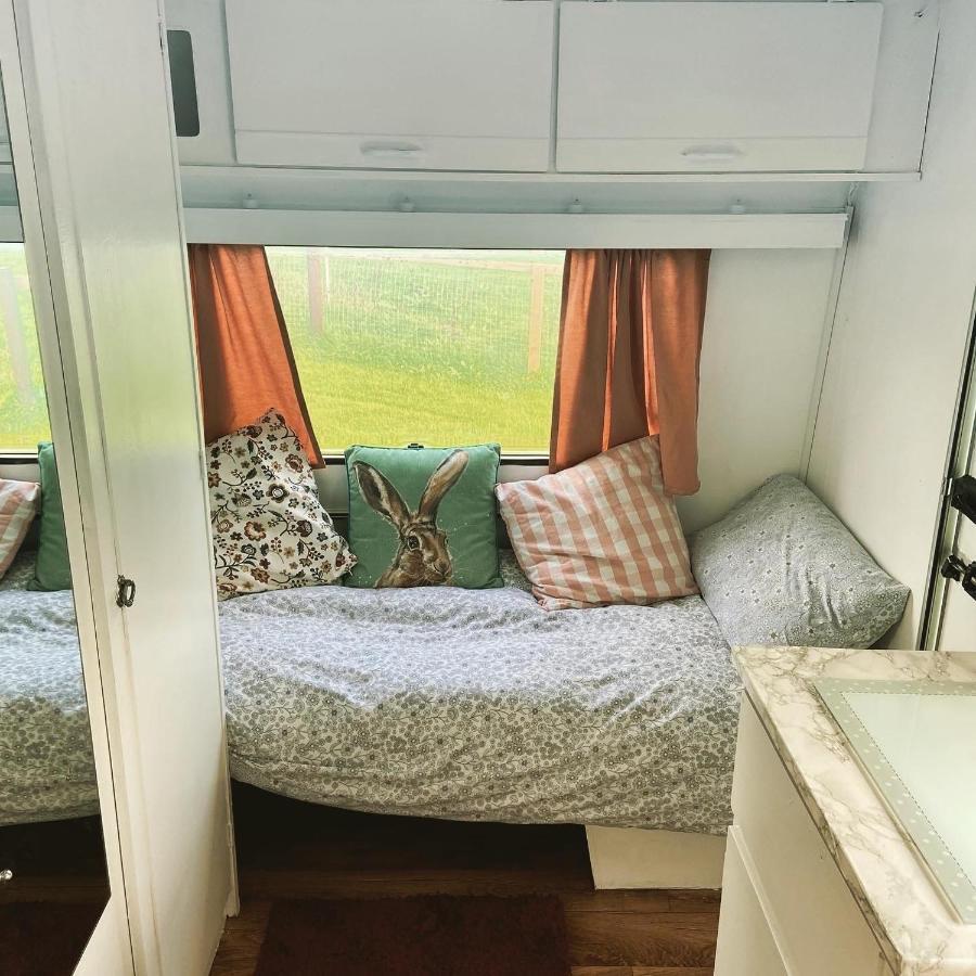 Cosy Caravan At Carrigeen Glamping Hotel Kilkenny Eksteriør billede