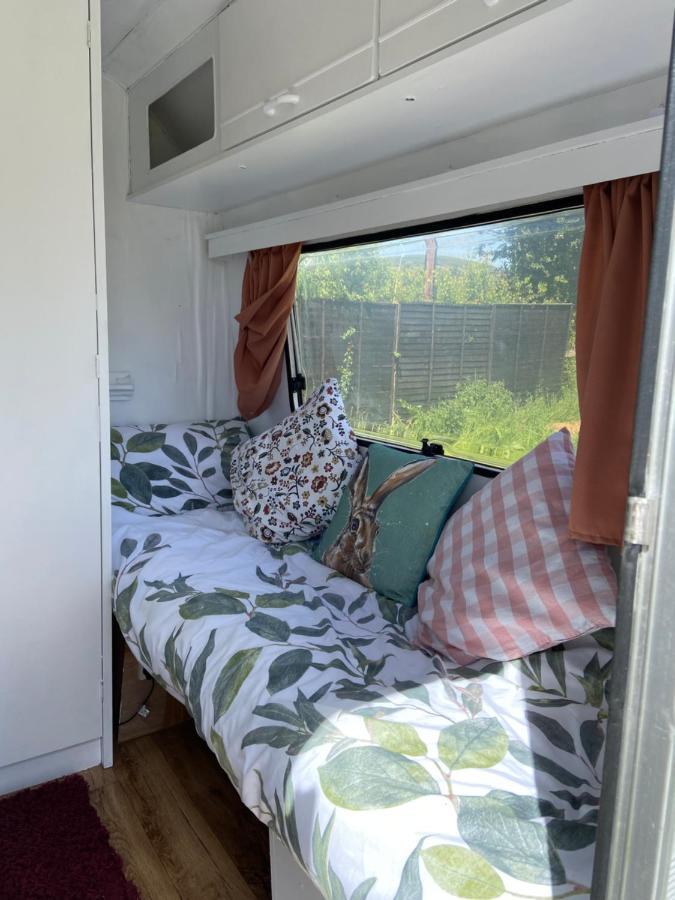 Cosy Caravan At Carrigeen Glamping Hotel Kilkenny Eksteriør billede